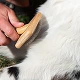 kooa - Zupfbürste aus Bambus | für Hunde & Katzen mit beliebiger Felllänge | entfernt Knoten und Verfilzungen