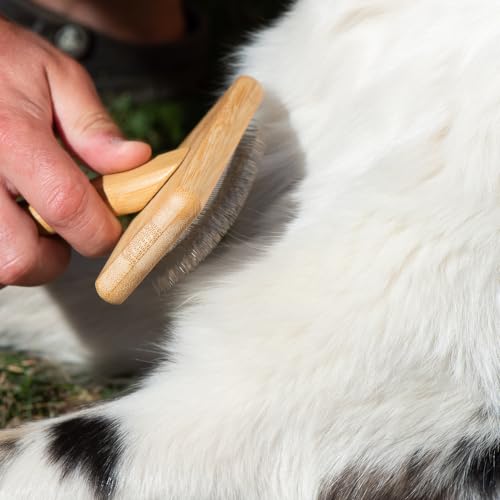 kooa - Zupfbürste aus Bambus | für Hunde & Katzen mit beliebiger Felllänge | entfernt Knoten und Verfilzungen