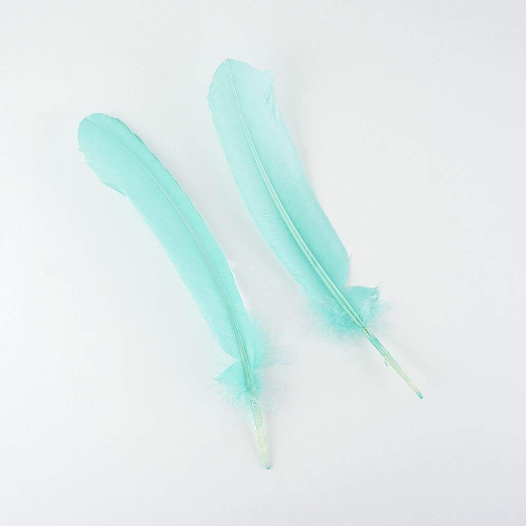 Zucker 10-12 inch Turkey Feathers for Crafts - 4pc Quills for DIY Headdress, Dream Catcher, Home Decor - (Mint Green)