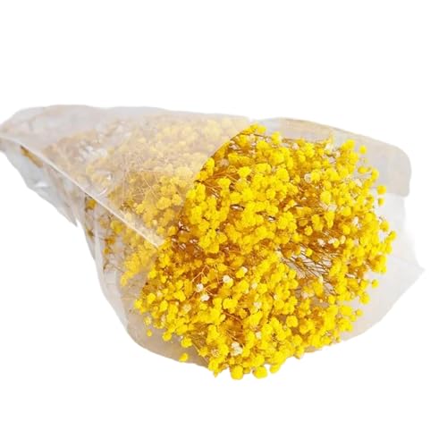 Flor seca de gypsophila natural de 50cm para decoración