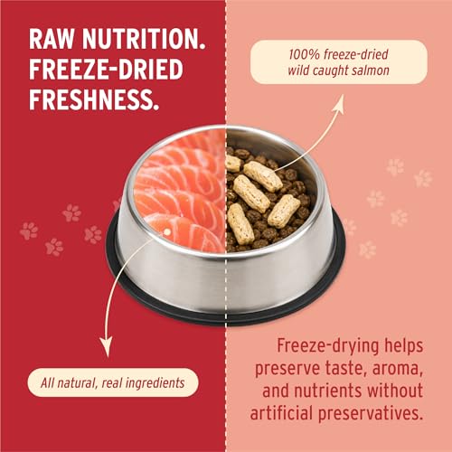 Image of Nutri Bites Freeze Dried Salmon Dog and Cat Treats, 14 oz