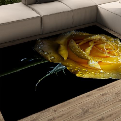 Tapis en chenille douce fine de qualité supérieure 160x230 cm - 2