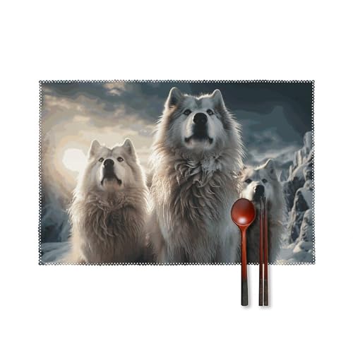 Sets de table antidérapants et résistants à la chaleur