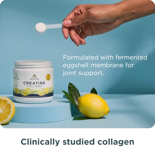 Ancient Nutrition 5g Creatine Monohydrate + Collagen + Electrolytes, Lemon | Muscle Strength, Lean Body Mass, Joint Comfort & Cognitive Support, Includes 5g Creatine Monohydrate for Women - image 5