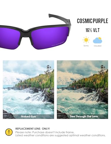 Image of BLAZERBUCK Polarized Replacement Lenses for Oakley Flak Beta OO9363 /Flak Beta Asian Fit OO9372 Sunglass