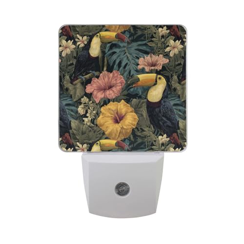 Lámpara de noche LED sensor crepúsculo Aslsiy multicolor miniatura 7