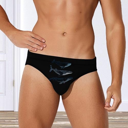 Three Whales Men's Swim Briefs Low Waist Bikini Swimsuit Underwear Beach Swimwear4