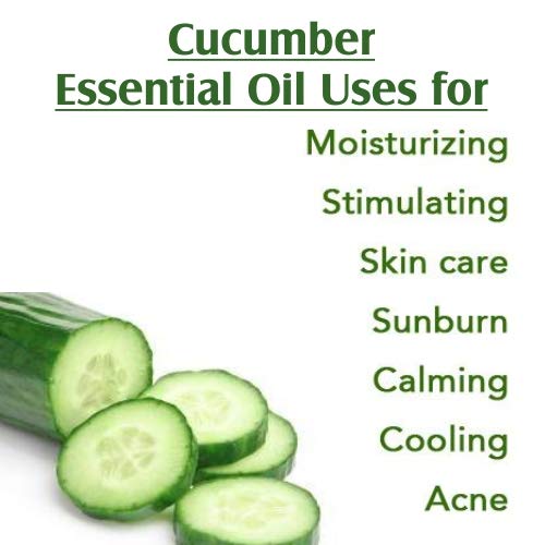 Image of Crysalis Cucumber (Cucumis Sativus) Oil|100% Pure & Natural Undiluted Carrier Oil Organic Standard For Skin & Haircare|Therapeutic Grade Oil, Healthy Skin & Hair-100ML With Dropper