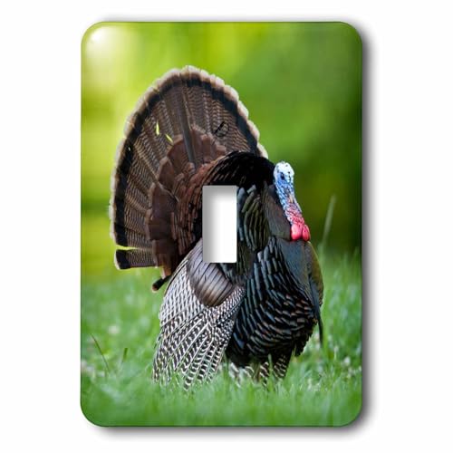 Sauteuse à dinde sauvage multicolore 3dRose finie la viande sèche - 2