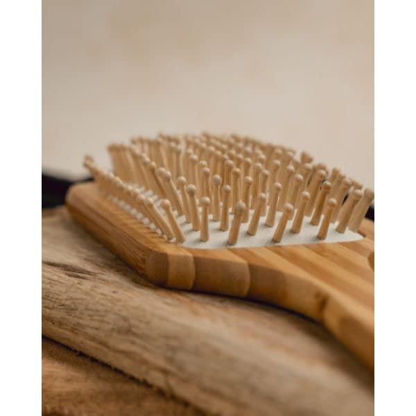 Buy Desi Crew Wooden Bamboo Hair Brush, Detangling Brush, Eco Friendly