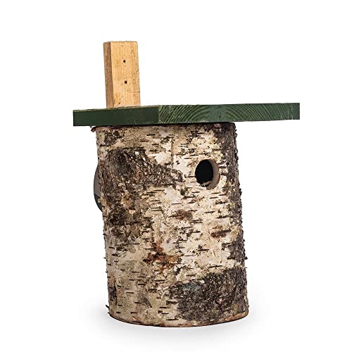 Nichoir en bois de bouleau 32 mm pour observer les mésanges