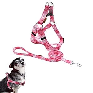 Dog Halter Harness and Leash Set, Cute Floral Patterns, Soft and Adjustable Harness, Step in, Anti-Choke — Perfect for Walking (Harness Leash Set (Pink), XS (Chest 11-18″))