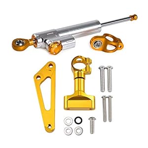 VRDN Haute qualité Kit de Support de Guidon de la Moto Directeurs Kit de Support de Fixation de Fixation pour Ho.N.DA CB600F Hornet 2007-2016 2015 2014 2013 2012 100% Nouveau (Color : Gold Silver)
