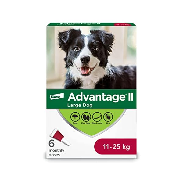 Advantage II Flea Treatment for Large Dogs weighing 11 kg to 25 kg (24 lbs. to 55 lbs.) Advantage II Flea Treatment for Large Dogs weighing 11 kg to 25 kg (24 lbs. to 55 lbs.)