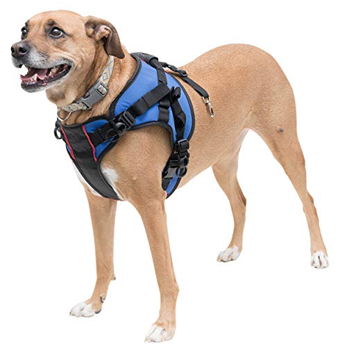 Walkin' Lift Combo Front Dog Harness for Mobility | Helps Dogs with Arthritis