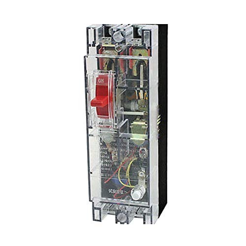 Amazon.com: 5000A Breaking Capacity 2 Poles Leakage Circuit Breaker AC ...