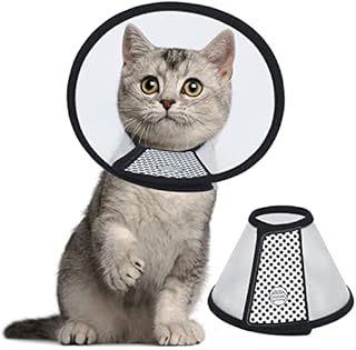 Vivifying Cat Cone Collar, 5.7 Inches Lightweight Plastic Cat Recovery Cone Elizabethan Collar for Small Cats, Mini puppies and Rabbits (Black-S)