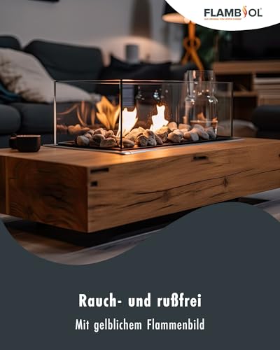 Höfer Chemie Bioethanol 96,6% Premium 1 x 1 L - Ethanol für Tischkamin, Kamin & Gartendeko für Draußen - Rauch- und Rußfrei - Aus Mais & Zuckerrüben