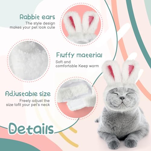 Disfraz orejas de conejo para gato y perro pequeño miniatura 3