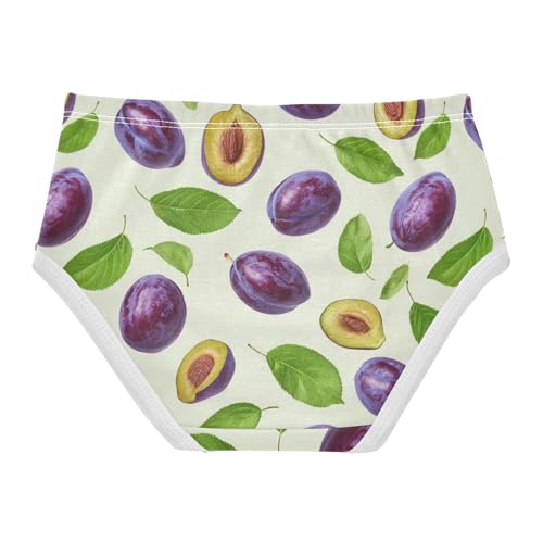 Wusikd Fresh Girls' Underwear Cotton Plums Leaves Girls Briefs Soft Toddler Underwear 2T2