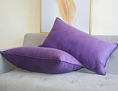 Lutanky Velvet Cushion Covers 30 x 50 cm Violet Decorative Rectangle Throw Pillow Cover (Pack of 2) Soft Oblong Piped Pillowcases for Sofa Bedroom with Invisible Zipper 12x20 Inch - Image 2