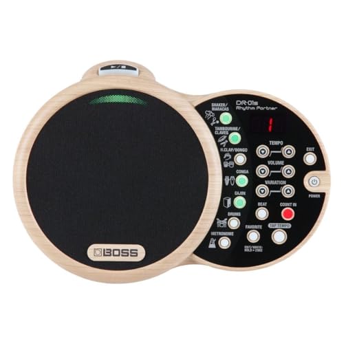 DR-01s Rhythm Partner BOSS, un compagnon rythmique pour guitaristes-chanteurs acoustiques
