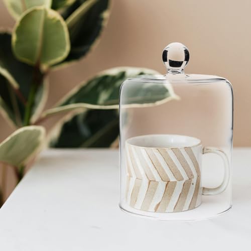 Diseño Estético de Cúpula de Vidrio Transparente para decoración selecta 5