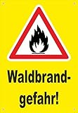 Absperr-Plane Absperr-Banner - Waldbrand-Gefahr - 450x650mm mit Ösen – P00001-040-C - stabile PVC Werbe-Plane Werbe-Banner - in 4 Varianten erhältlich