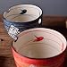 Panbado Set de Cuencos japoneses de Porcelana, Cuencos de Fideos Ramen de...