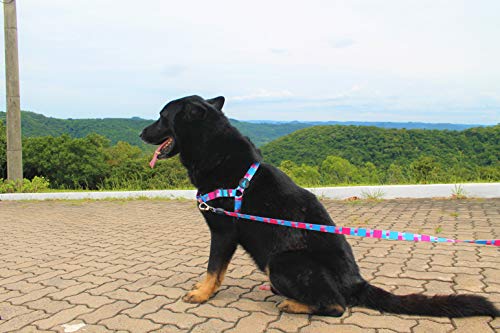 Peitoral Antipuxão + Coleira + Guia Piazza Para Cachorros Grande Porte Tam G