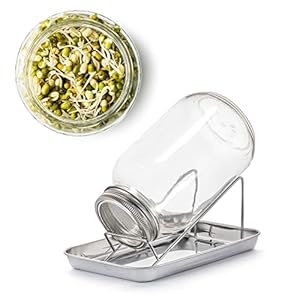 BigDean Sprossenglas Keimglas Set 1000ml