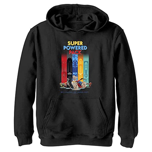 Sweat à capuche DC Comics enfant vêtement chaud motif animaux