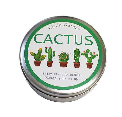 ナガクラ 栽培キット NEWリトルガーデン サボテンのサムネイル