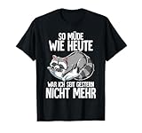 Langschläfer Geschenk