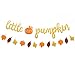 Faisichocalato Glitter Little Pumpkin Banner with Pumpkin Fall Leaves for Thanksgiving Fall Theme Baby Shower Kid's Birthday Party Decor