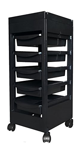 Carrito de Mantenimiento con Ruedas Profesional LOVECRAZY Negro para Peluquería, Barbería, Perfumería, Cosméticos, Salón, Tienda de Tatuaje, Manicura y Pedicura