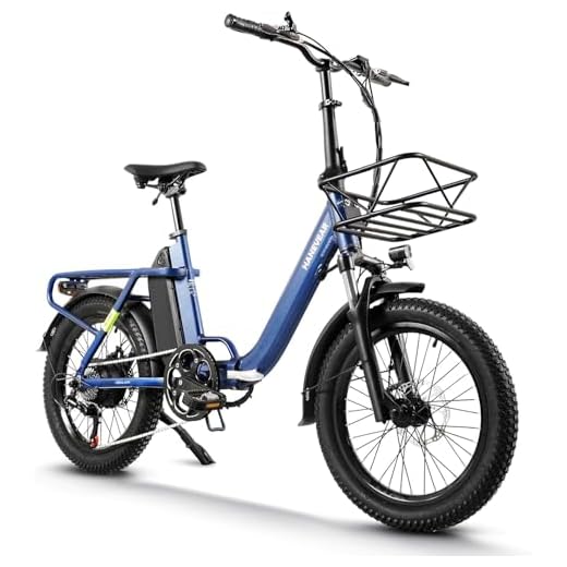 HANEVEAR H6-Light E Bike Klapprad, Elektrofahrräder mit Drehmomentsensor | 48V 14,5Ah Akku bis zu 120km+ | 55N.m 250W-Motor | 3.0'' Fat E-Bike, Off-Road Pedelec EBike Herren Damen (Blau Mit Frontkorb)