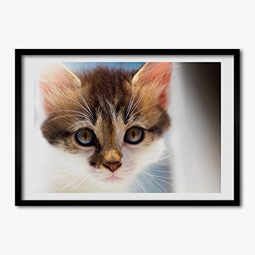 Tableau moderne petit chat avec cadre en bois affiche murale Tulup 70x50 cm