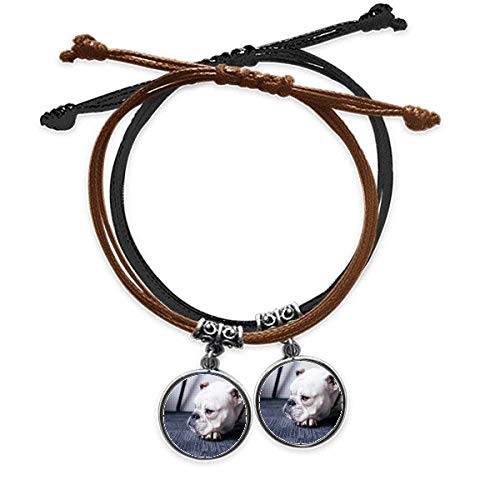Bracelet chien cuir double gris le cadeau idéal pour passionnés