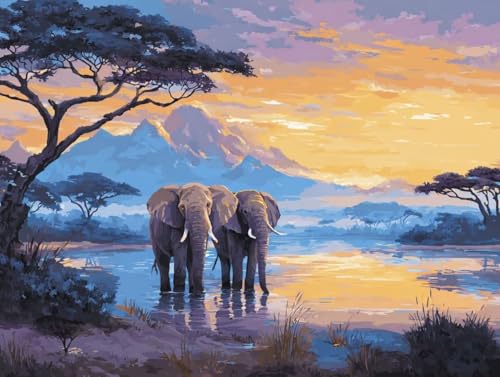 DIY  Lbg l q SҌ G TZbg ANG̋Zbgt 40x50cm hG XgX  v[g Mtg - |pIȑ̌ŊyށAiȃLoXƑN₩ȐFʁAW̓AbvAbNXʁAC