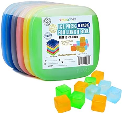 6 pack lunch box amazon