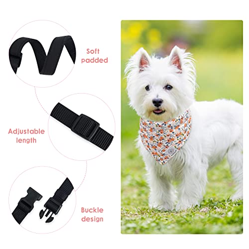 E-Clover Fall Dog Collar & Matching Scrunchie Set Flower Print Dog Collar Bandanas Girl Adjustable Collars For Small Medium Dogs Puppy Cat Owner Orange #TOP3
