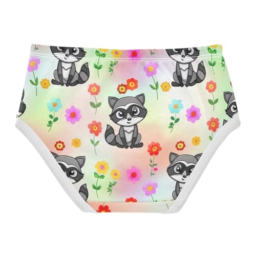 Cotton Girls Underwear Toddlers Cute Cartoon Raccoons Sitting Panties Little Girl Florals Underpants Briefs 2t2