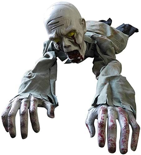 nEB ]r CC]r  z[ ǂ | | 낵  p[eB[ TvCYObY ̎ ~ dl` {CXt EU ڂ POdr fR[V