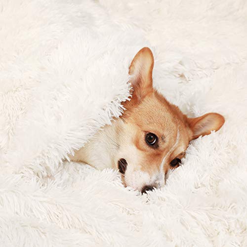 HACHIKITTY Faux Fur Dog Blanket Large, Soft Dog Blanket Large Dogs, Soft Dog Blanket Multiple Use - Image 7