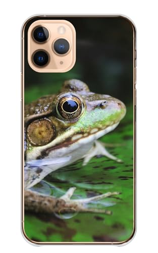 arrows N F-51C �p �P�[�X �A���[�YNF-51C �X�}�z�P�[�X �n�[�h�P�[�X �n�[�h ঒��� �g�J�Q �J�G�� �ʐ^ ������� �J���[04