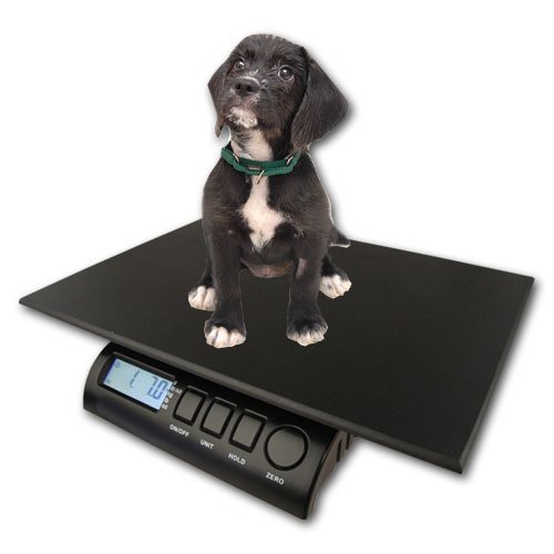 ZIEIS Báscula digital para animales