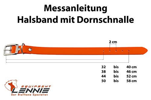 LENNIE 25mm breites Biothane Hunde-Halsband, Doppelstegschnalle, personalisiert mit Namen/Telefonnummer, schmutz-Wasser-abweisend