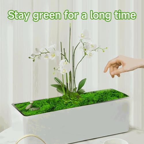 image for Aspamms Fake Green Moss for Potted Plants Indoor, 7oz Artificial Moss 