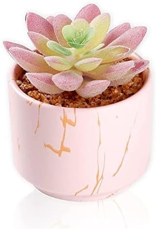 ZENMAG Suculentas falsas, mini plantas suculentas artificiais em ...